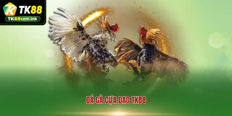 Đá Gà Cựa Dao TK88 - Đấu Trường Tử Chiến Săn Thưởng Nghẹt Thở